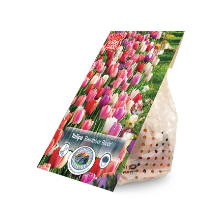 Tulipa Blend Rainbow River | Cappers 12 x 15 - image 2