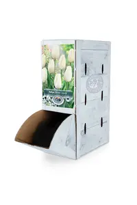 Tulipa Darwin Hybrid White Clouds (Hakuun) | 80 pce - image 2