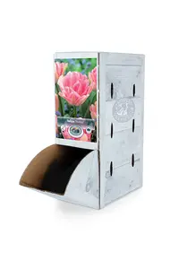 Tulipa Double Early Foxtrot | 80 pcs - image 2