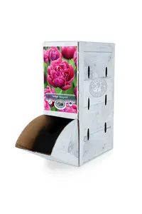 Tulipa Double Early Margarita | 80 pcs - image 2