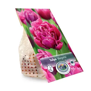 Tulipa Double Early Margarita | Capper 20 x 5 - image 3