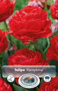 Tulipa Double Early Pamplona | Capper 20 x 5