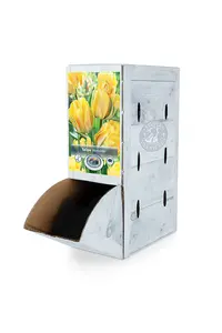 Tulipa Double Late Akebono | 80 pce - image 2