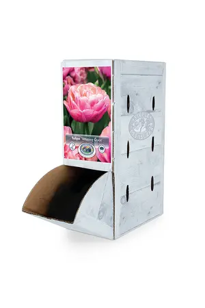 Tulipa Double Late Amazing Grace | 80 pce - image 2
