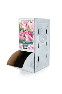 Tulipa Double Late Angelique | 100 pcs - image 2