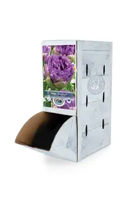 Tulipa Double Late Blue Wow | 80 pce - image 2