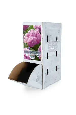 Tulipa Double Late castle | 80 pce - image 2