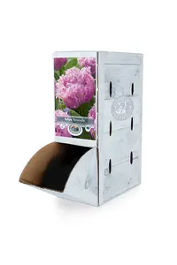 Tulipa Double Late castle | 80 pce - image 2