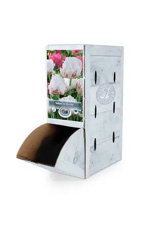 Tulipa Double Late Ice Wonder | 80 pce - image 2