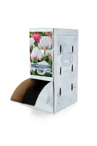 Tulipa Double Late Ice Wonder | 80 pce - image 2