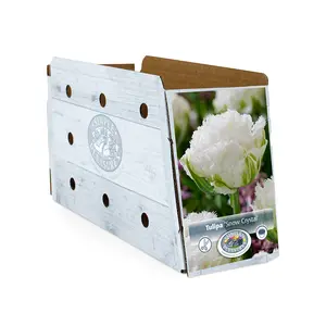 Tulipa Double Late Snow Crystal | Cappers 5 x 20 - image 2