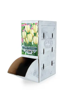Tulipa Fosteriana White Emperor | 80 pce - image 2