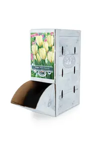 Tulipa Fosteriana White Emperor | 80 pce - image 2