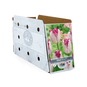Tulipa Fringed Eyelash | Cappers 5 x 20 - image 2