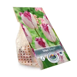 Tulipa Fringed Eyelash | Cappers 5 x 20 - image 3