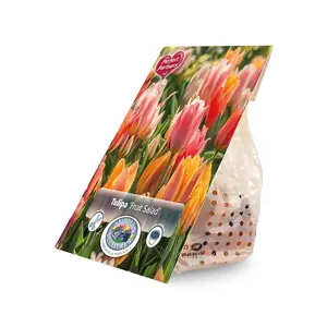 Tulipa Fruit Salad | Cappers 10 x 16 - image 2