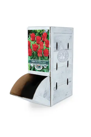 Tulipa Greigii Red Riding Hood | 80 pce - image 2