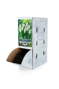Tulipa Lily-Flowering Tres Chic | 80 pce - image 2