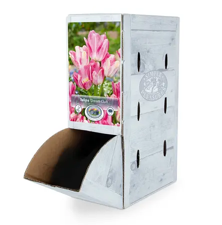 Tulipa Multiflowering (Bouquet) Dream Club | 80 pce - image 2