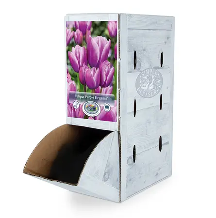 Tulipa Multiflowering (Bouquet) Purple Elegance | 80 pce - image 2