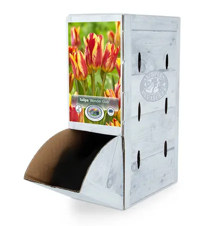 Tulipa Multiflowering (Bouquet) Wonder Club | 80 pce - image 2