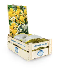 Tulipa/Narcissus Warm Spring Blend | Bags 25 x 20 - image 2