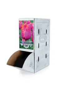 Tulipa Parrot Amazing | 80 pce - image 2