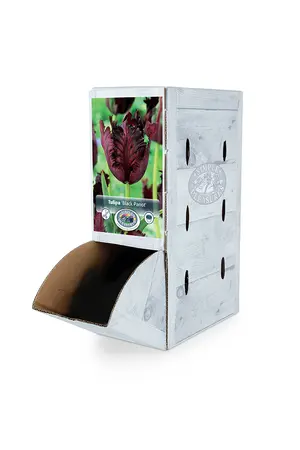 Tulipa Parrot Black | 80 pce - image 2