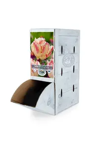 Tulipa Parrot Blushing | 80 pce - image 2