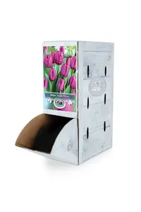 Tulipa Single Early Purple Prince | 80 pce - image 2