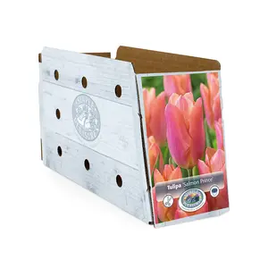 Tulipa Single Early Salmon Prince | Cappers 5 x 20 - image 2