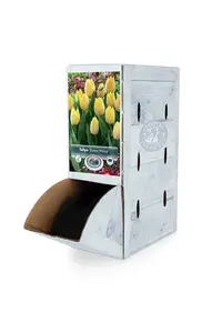 Tulipa Single Early Sunny Prince | 80 pce - image 2