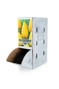 Tulipa Single Late Big Smile | 80 pce - image 2