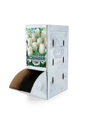 Tulipa Single Late City of Vancouver | 80 pce - image 2