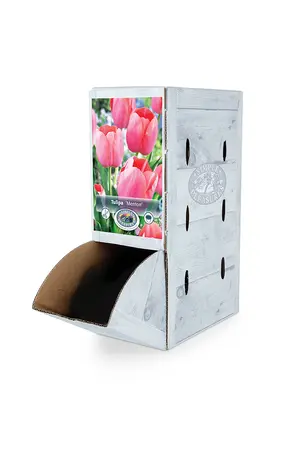 Tulipa Single Late Menton | 80 pcs - image 2