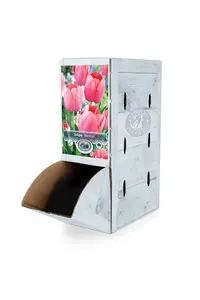 Tulipa Single Late Menton | 80 pcs - image 2