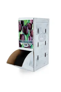 Tulipa Single Late Queen of Night | 80 pce - image 2