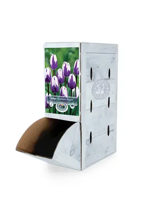 Tulipa Triumph Blueberry Ripple | 80 pce - image 2