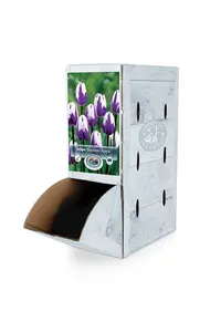 Tulipa Triumph Blueberry Ripple | 80 pce - image 2