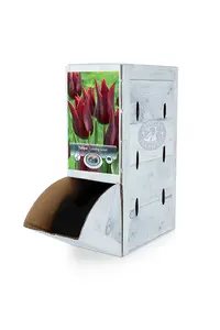 Tulipa Triumph Lasting Love | 80 pce - image 2