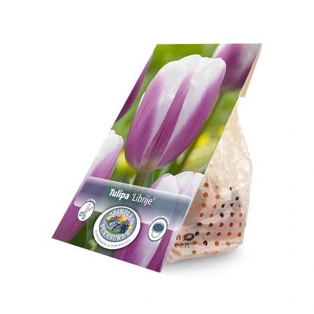 Tulipa Triumph Librije | Cappers 5 x 20 - image 2