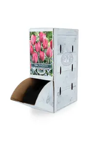 Tulipa Triumph Pretty Princess | 80 pce - image 2