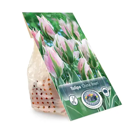Tulipa viridiflora China Town | Cappers 5 x 20 - image 3