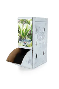Tulipa viridiflora Spring Green | 80 pce - image 2