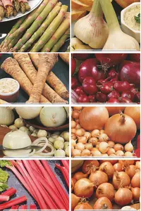 Vegetable Assortment | 64 pce